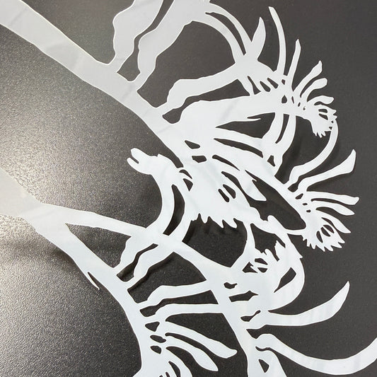 Kangaroo Paw Negative Stencil by De Gillett Cox (F-KAN-001)