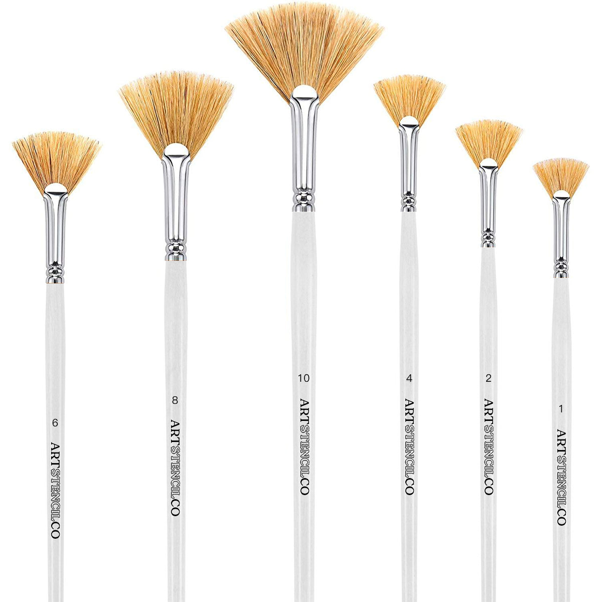 Professional Hog Bristle Fan Brushes – Set of 6