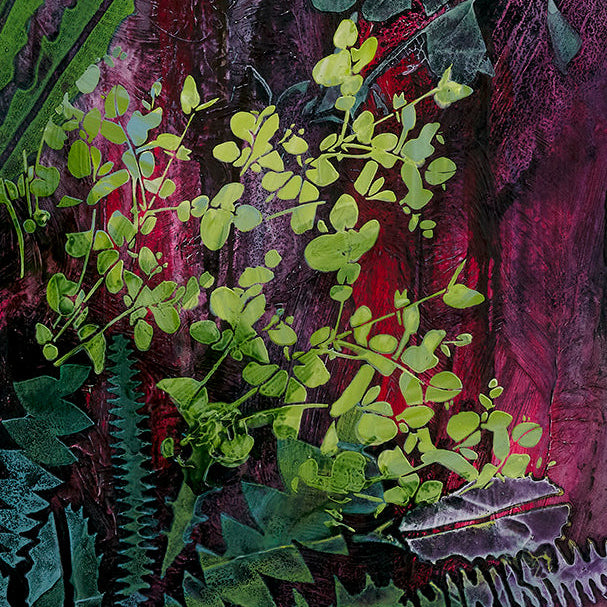 KANGAROO PAW SET - 5 Stencil Set by De Gillett Cox (SET-002)