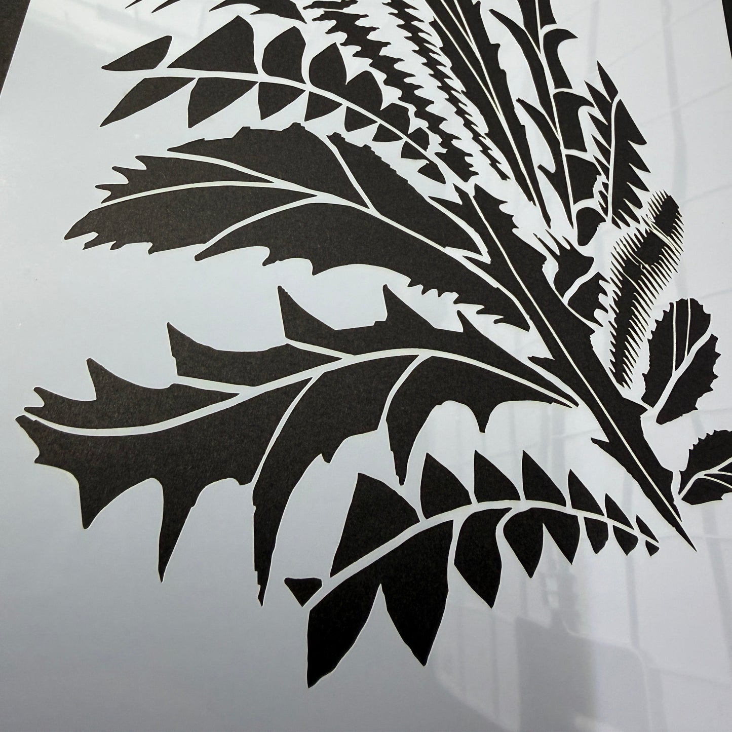 KANGAROO PAW SET - 5 Stencil Set by De Gillett Cox (SET-002)