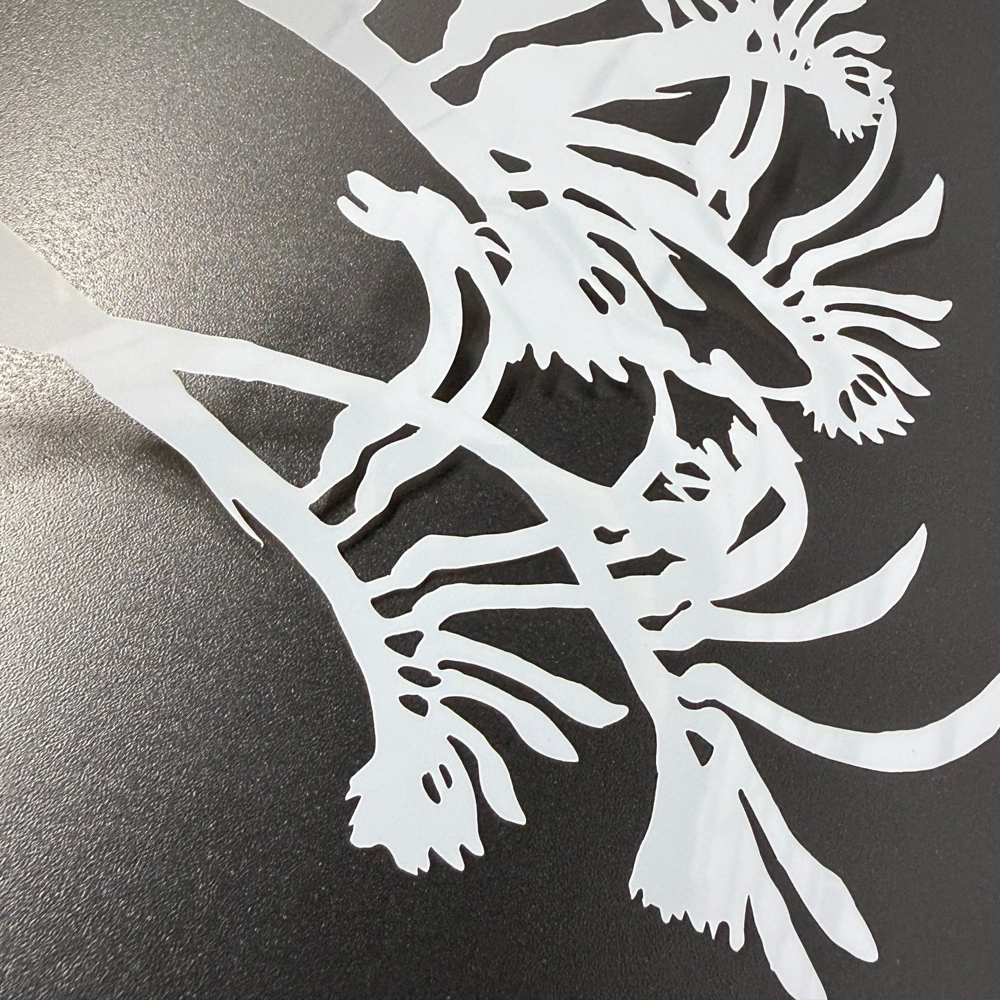 KANGAROO PAW SET - 5 Stencil Set by De Gillett Cox (SET-002)