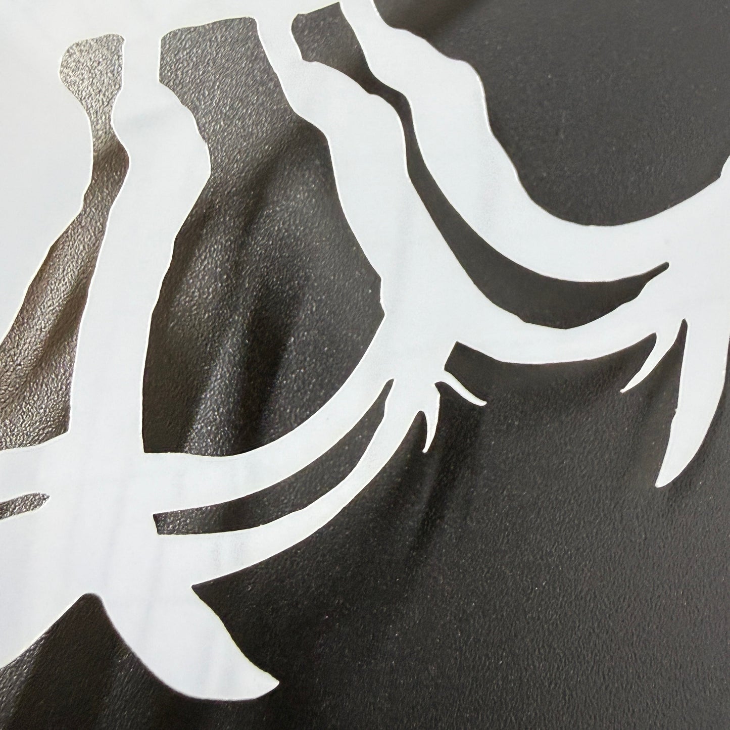 Kangaroo Paw Negative Stencil by De Gillett Cox (F-KAN-001)