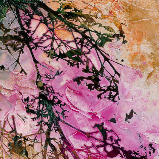 JACARANDA MIXED MEDIA SET -  Stencil Set by De Gillett Cox (SET-010MM)